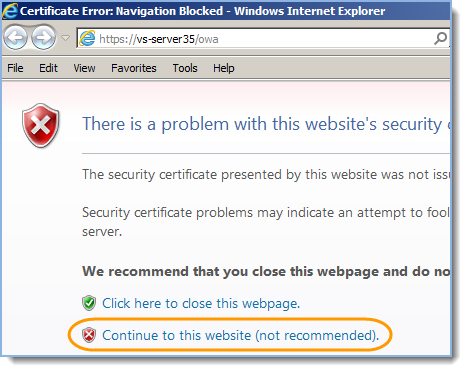 Accept to trust the certificate by clicking Continue to website: 