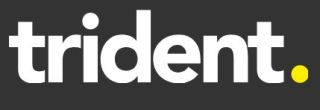 Trident Group UK Logo